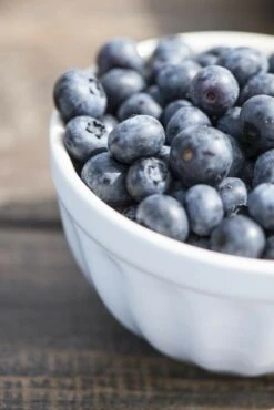 Müslischale Mynte STILLWATER Blau 6 Müslischale Mynte STILLWATER Blau -Küchenbedarf Angebote ib laursen muslischale mynte stillwater blau 2