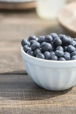 Müslischale Mynte STILLWATER Blau 7 Müslischale Mynte STILLWATER Blau -Küchenbedarf Angebote ib laursen muslischale mynte stillwater blau 3