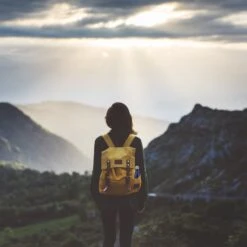 1x Edelstahl-Trinkflasche In Schwarz - 500 Ml -Küchenbedarf Angebote relaxdays 1x edelstahl trinkflasche in schwarz 500 ml 2